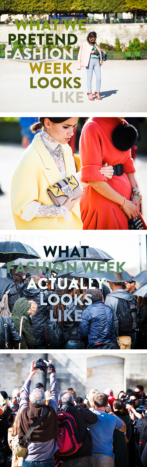 Friday Favorites Friday Favorites
