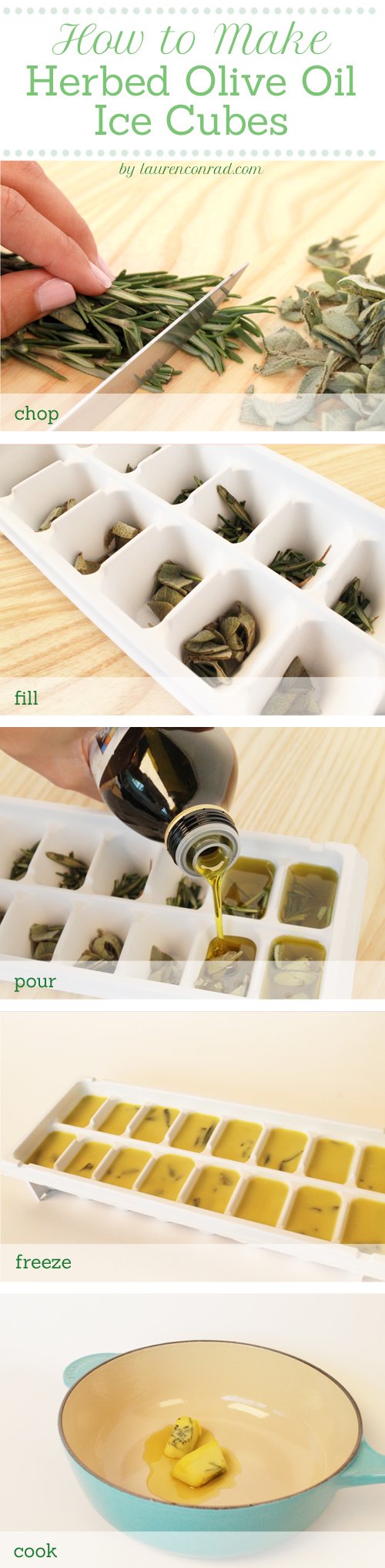 Odds & Ends: Herbed Olive Oil Cubes