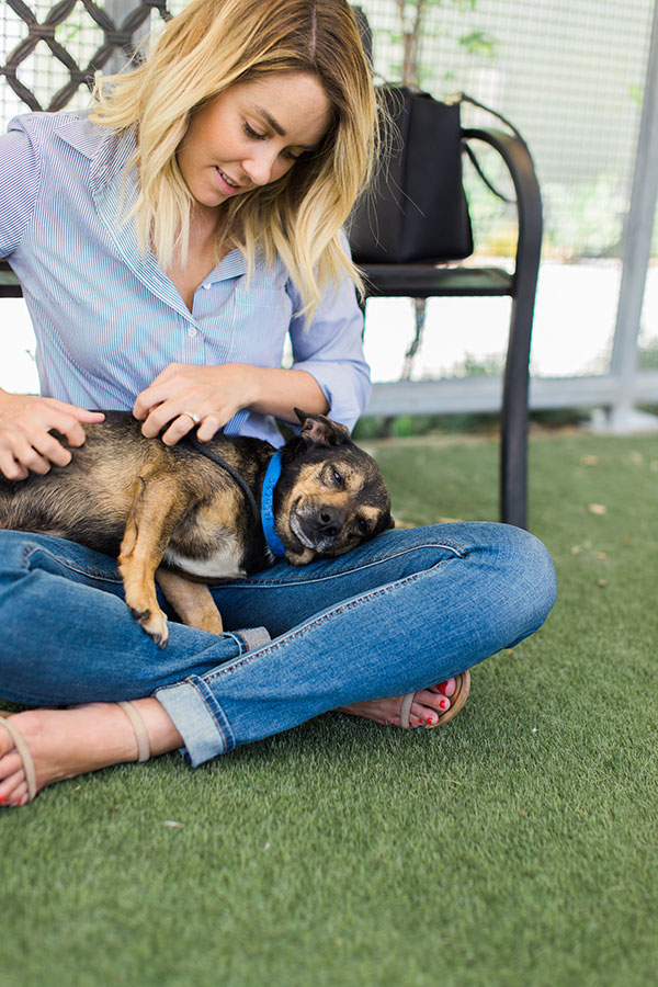 This ladies man is the definition of lap dog!