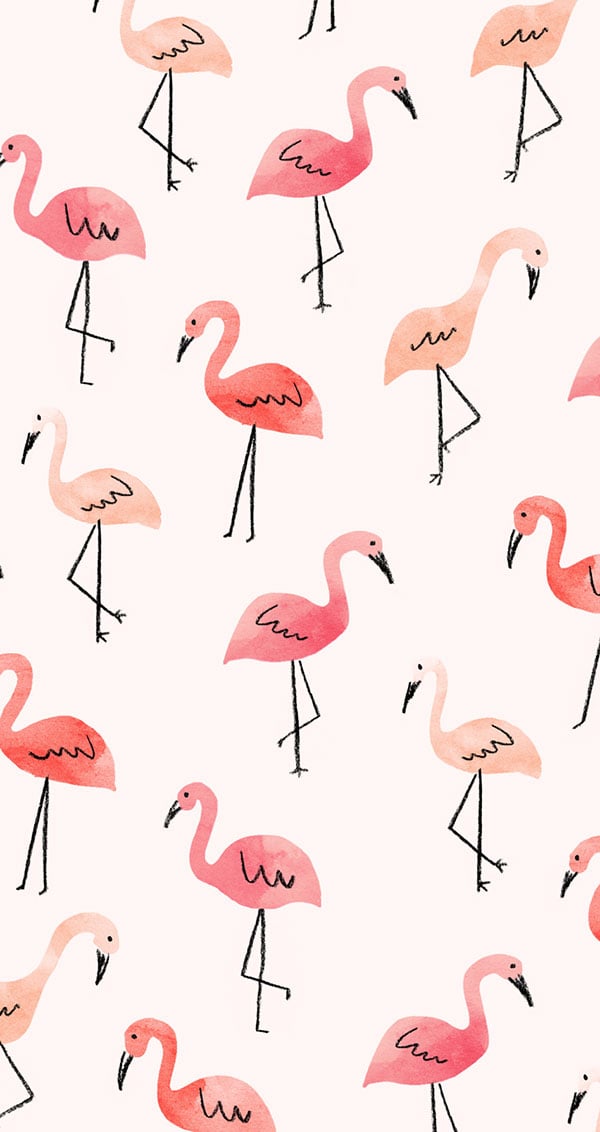 Flamingo iPhone wallpaper from LaurenConrad.com