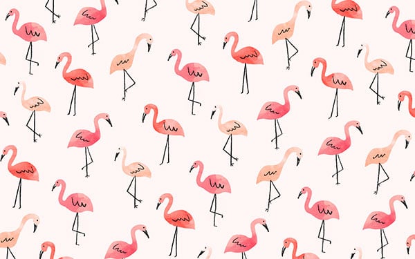 The cutest flamingo desktop wallpaper by Jen B. Peters for LaurenConrad.com