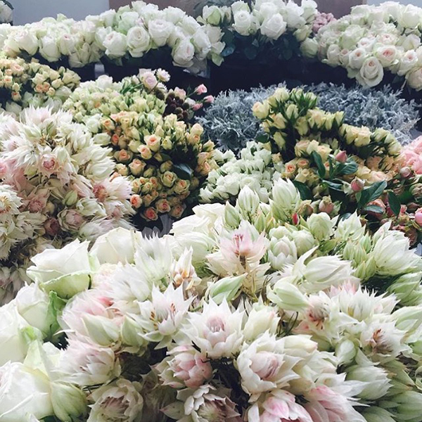 Here are just some of the hundreds of fresh blooms that decorated the LC Lauren Conrad runway!