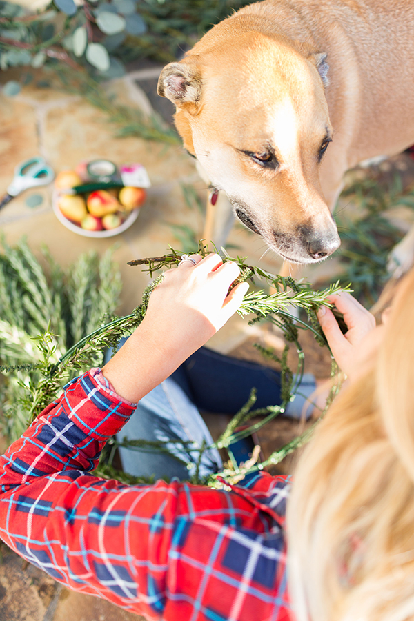 Chloe wanted to help us make these fresh flower holiday wreaths.