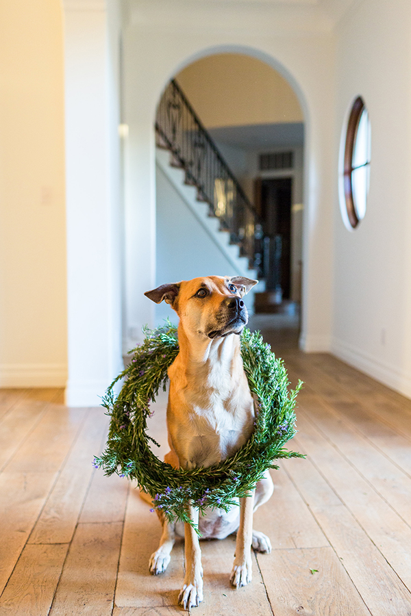 Chloe showing off our DIY holiday wreath on LaurenConrad.com