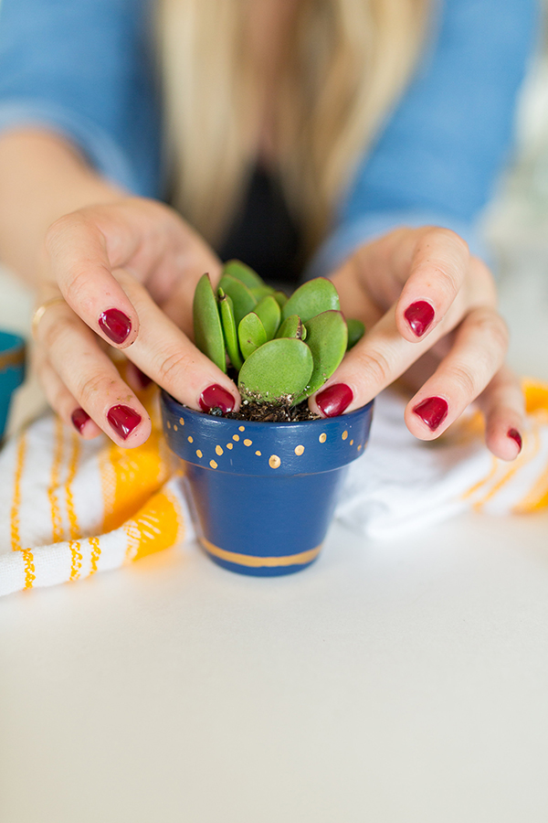 DIY: Mini Painted Pots - Lauren Conrad