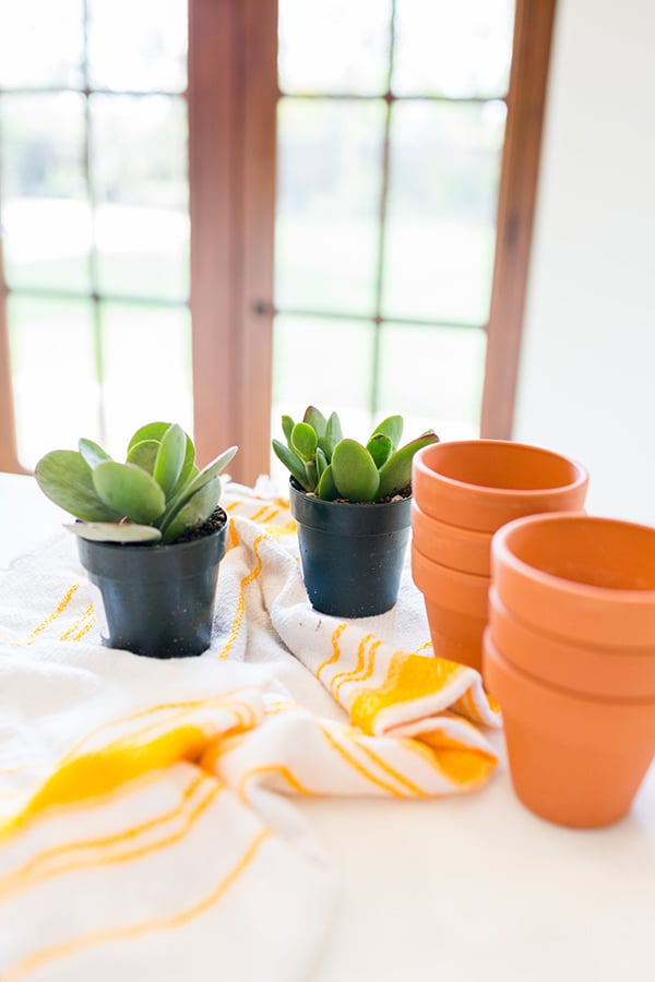How to make mini painted pots