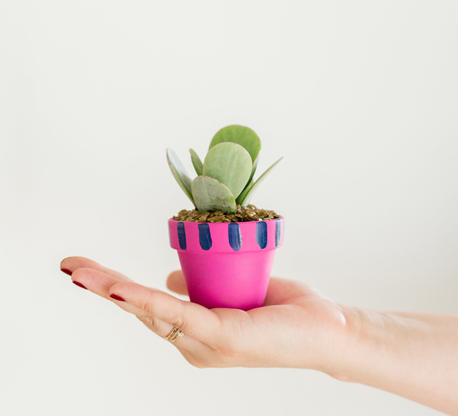 DIY: Mini Painted Pots - Lauren Conrad