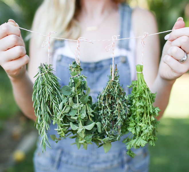 Odds & Ends: How to Dry Your Own Herbs