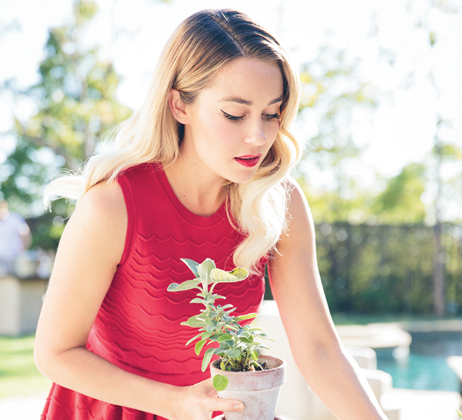 Green Thumb: The Easiest Houseplants to Keep Alive - Lauren Conrad