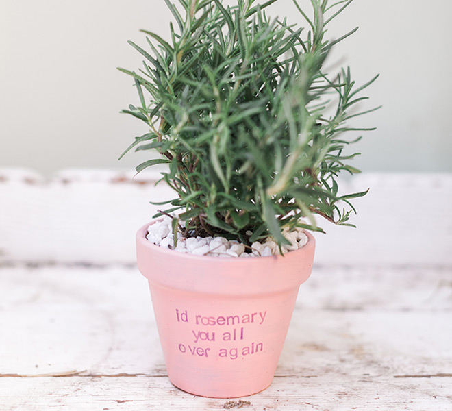 Cupid’s Corner: DIY Potted Plant Valentines