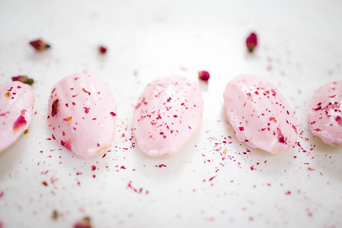 The sweetest rose madeleines