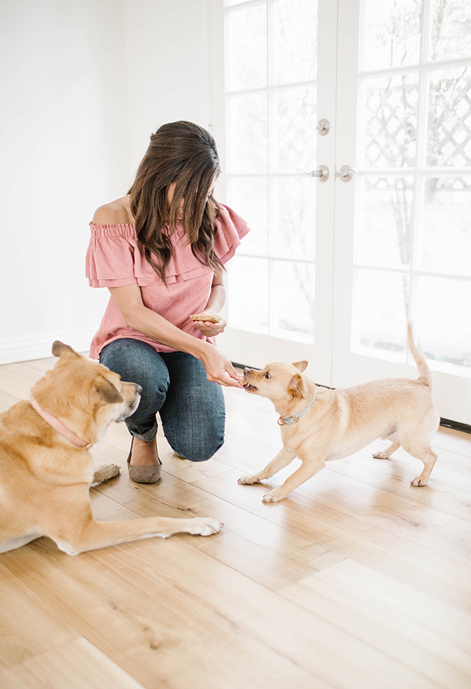 Homemade dog treat recipe via LaurenConrad.com