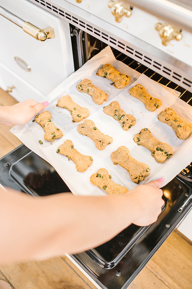 Homemade dog treat recipe on LaurenConrad.com