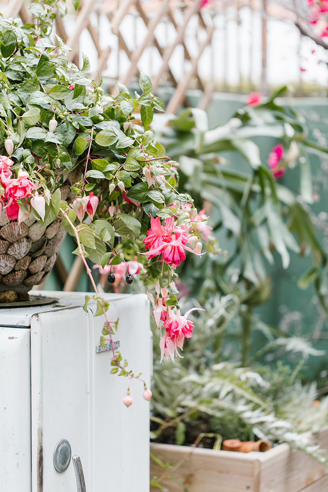 pretty pink rosé tasting picnic via laurenconrad.com