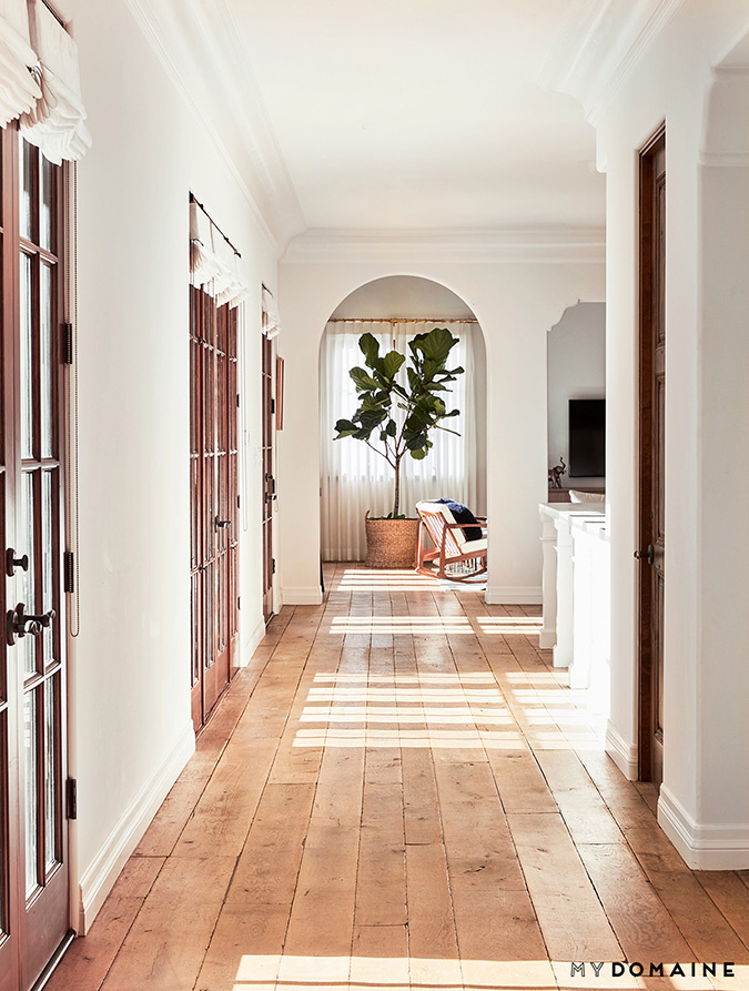 how to care for your fiddle leaf fig tree via laurenconrad.com