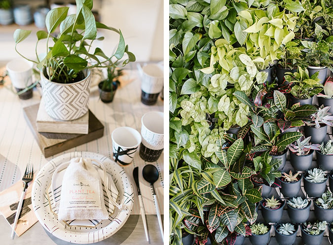 plant shop party inspired by The Little Market mudcloth via laurenconrad.com