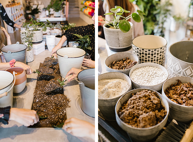 plant shop party inspired by The Little Market mudcloth via laurenconrad.com