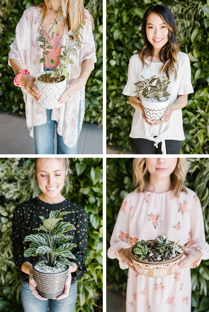 plant shop party inspired by The Little Market mudcloth via laurenconrad.com