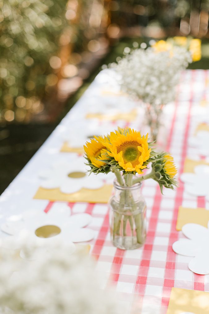 chicken themed birthday party via laurenconrad.com