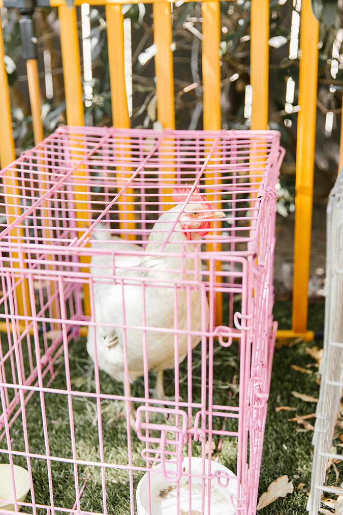 chicken themed birthday party via laurenconrad.com