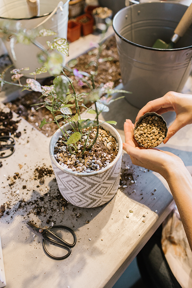 plant shop party inspired by The Little Market mudcloth via laurenconrad.com