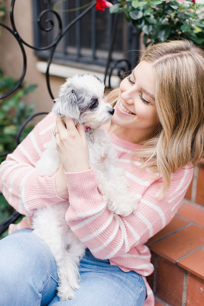 LC Lauren Conrad Neutrals and Dog 