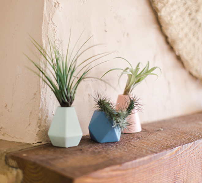 3 Ways to Style My New Bud Vases