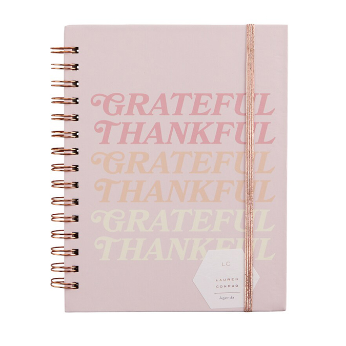 Gratitude Journal Challege