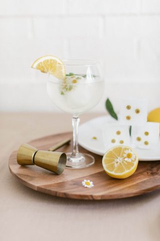 Fresh Lemon and Mint Gin and Tonics With Chamomile Ice Cubes