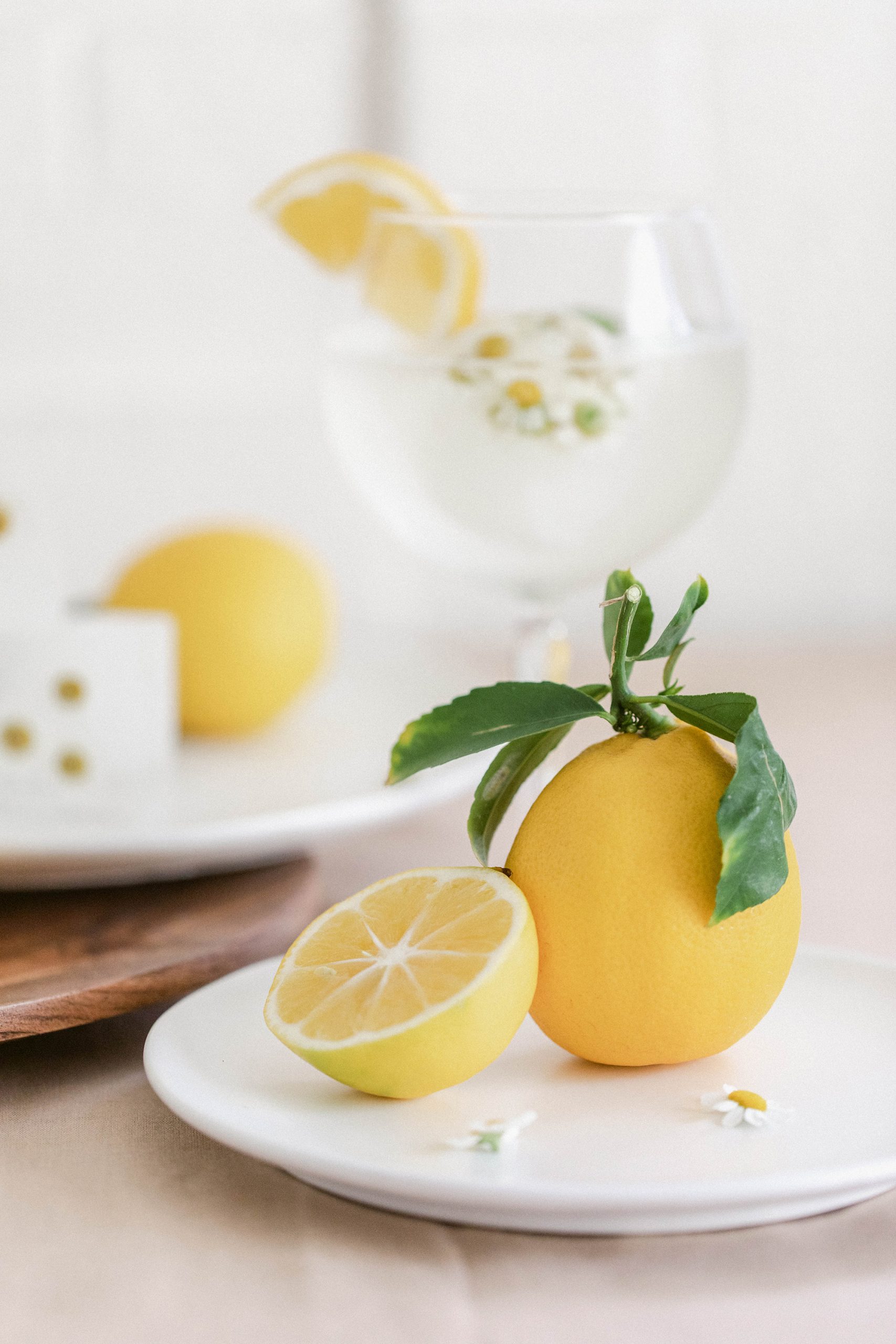 Fresh Lemon and Mint Gin and Tonics With Chamomile Ice Cubes