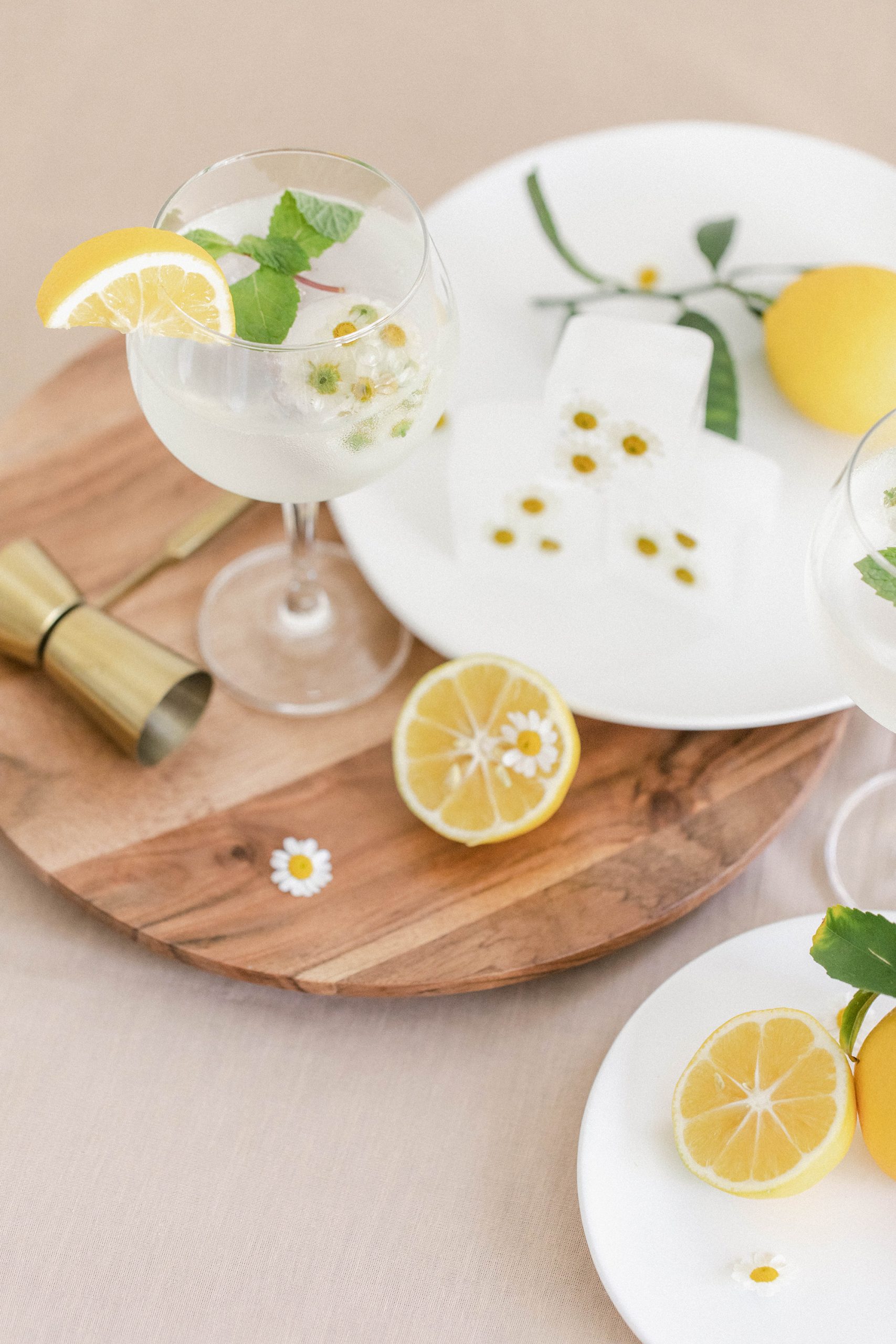 Fresh Lemon and Mint Gin and Tonics With Chamomile Ice Cubes