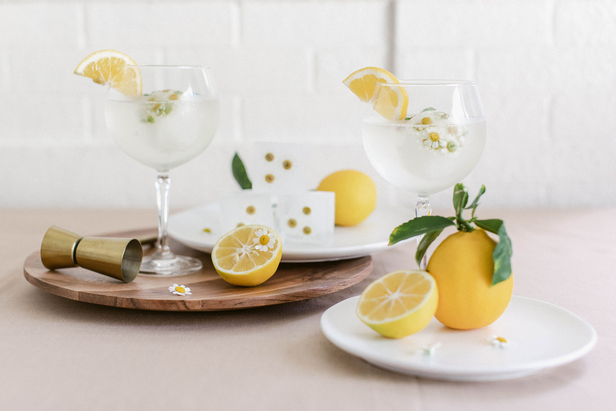 Fresh Lemon and Mint Gin and Tonics With Chamomile Ice Cubes