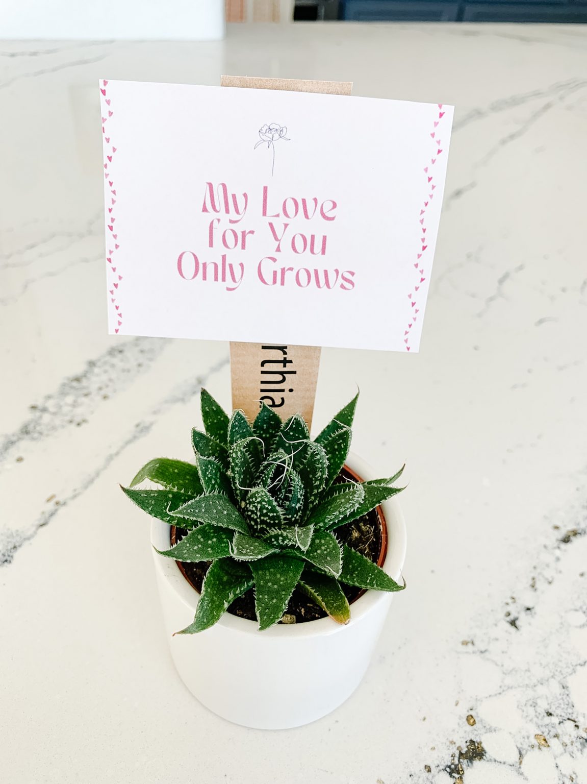 The Cutest Punny, Printable Valentine’s Day Cards - Lauren Conrad